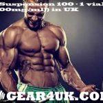 Suspension 100 - 1 vial(10 ml (100mg/ml))